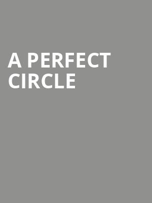 A Perfect Circle at O2 Academy Brixton